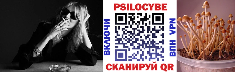 Псилоцибиновые грибы прущие грибы  как найти наркотики  Суджа 