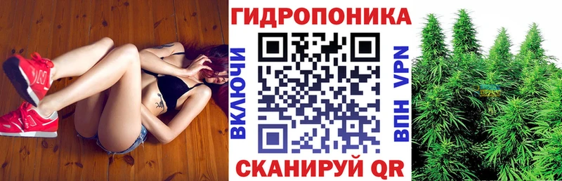 hydra зеркало  Суджа  Канабис семена  наркота 